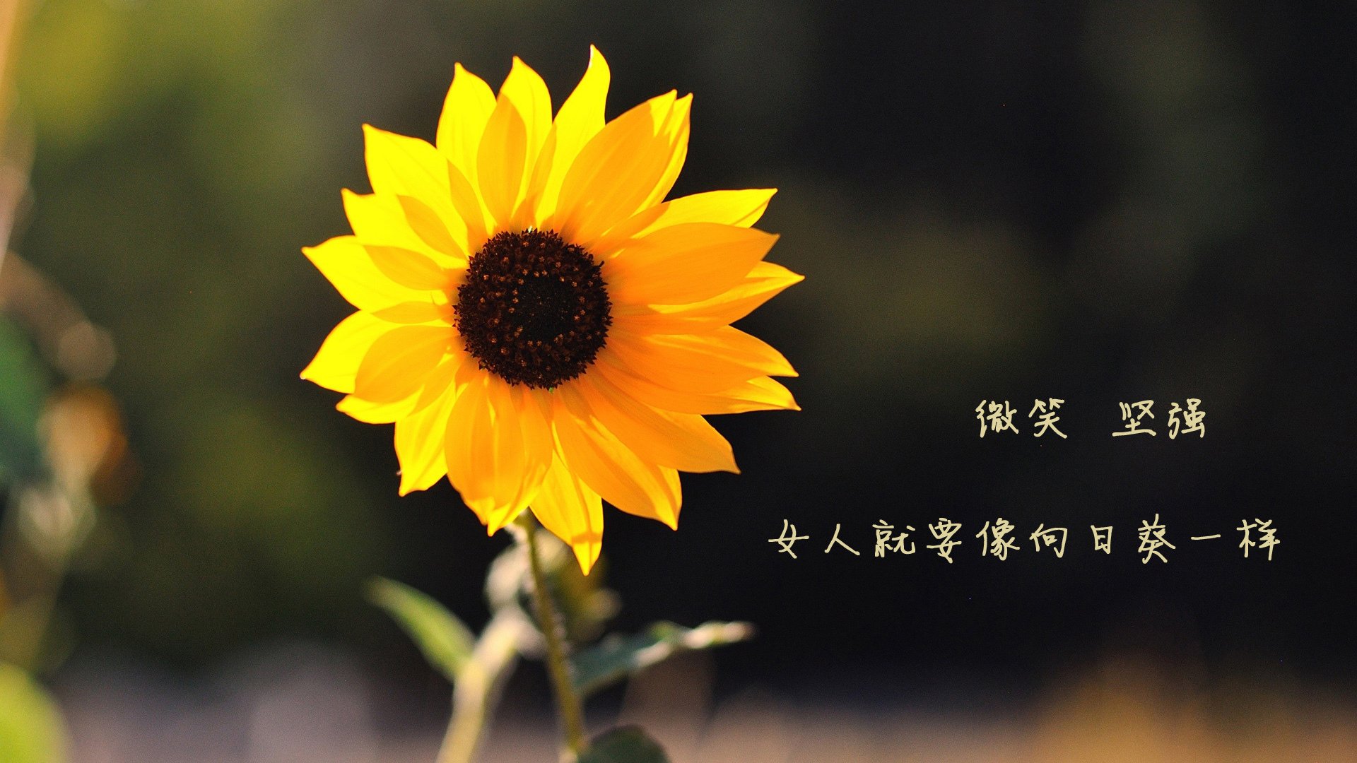 kaiyun开云体育-意甲VAR系统语义模型提升争议判罚处理效率，意甲var使用规则