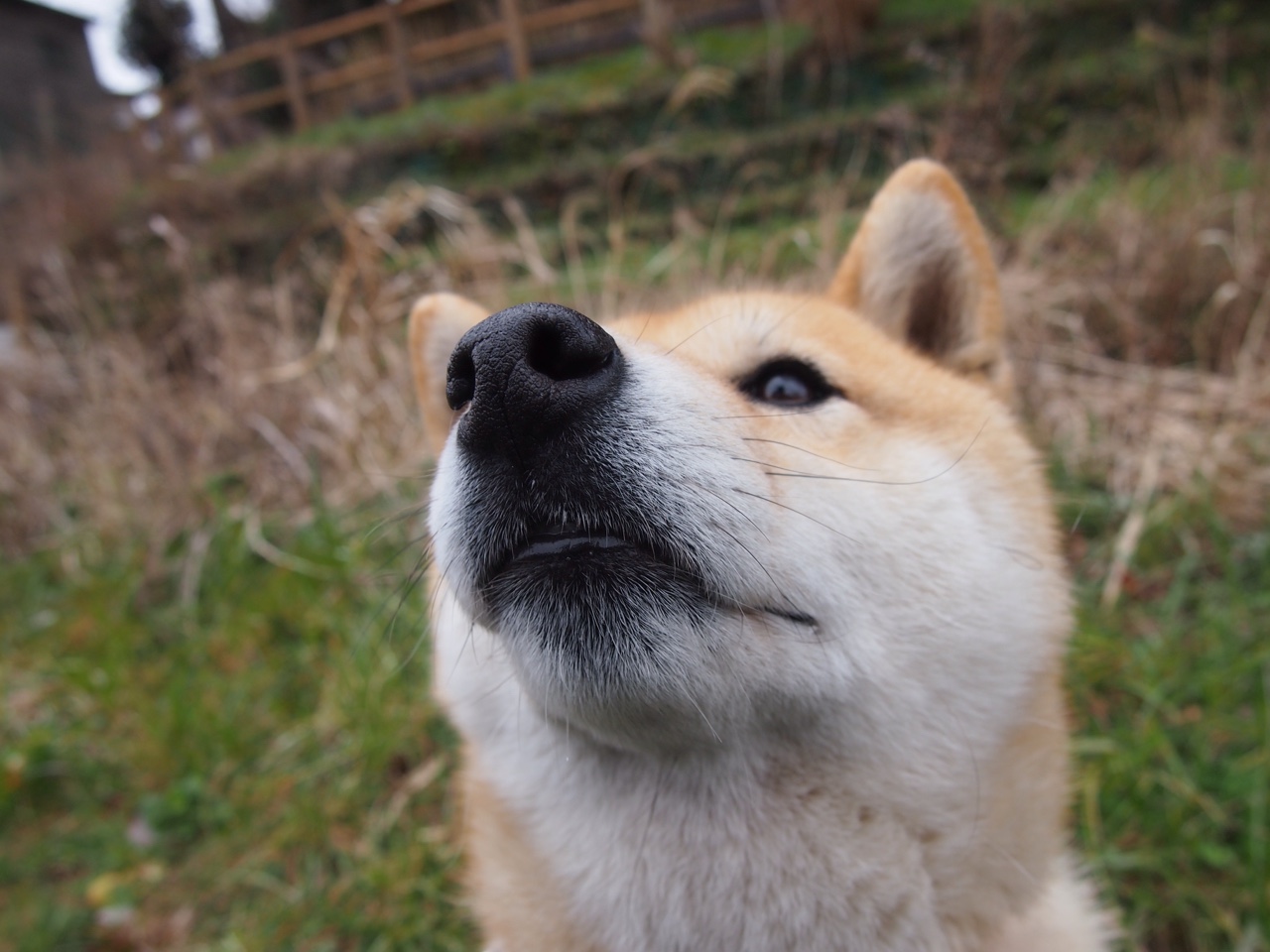 开云体育下载-球队是否逐步构建多核心传控系统提升战术多样性，球队核心什么意思