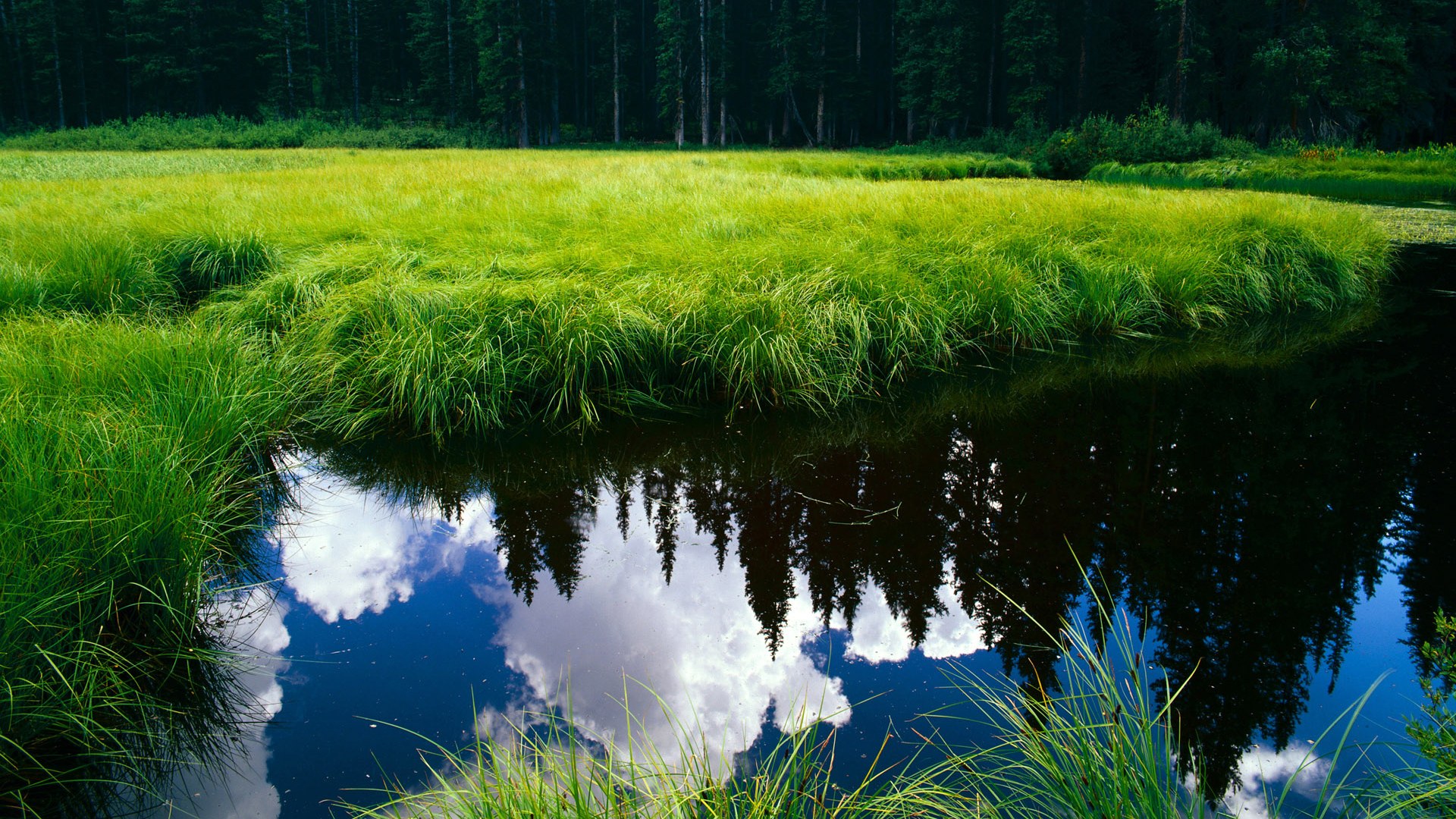 开云体育app入口-体育游戏与真实运动融合引领新风潮,体育游戏和体育活动有什么关系