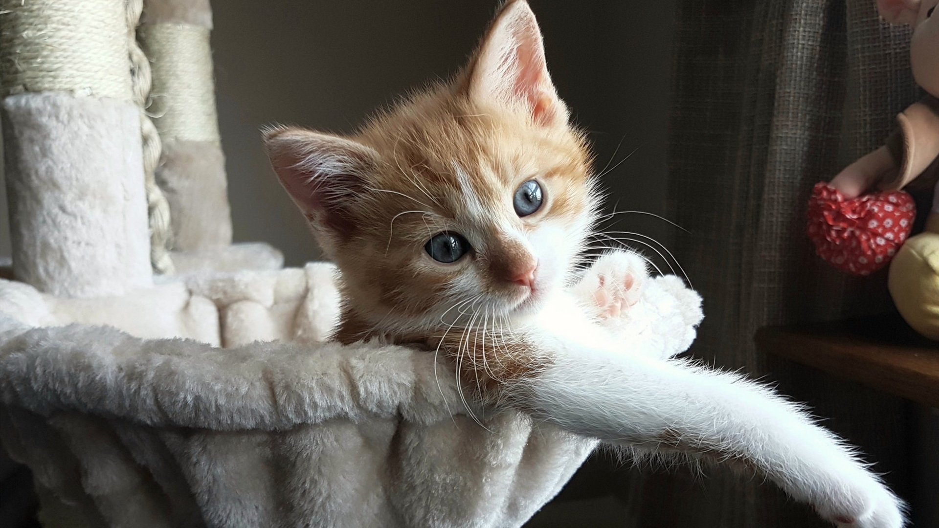 开云体育app-球队与科技公司合作开发投篮追踪系统，投篮技术分析